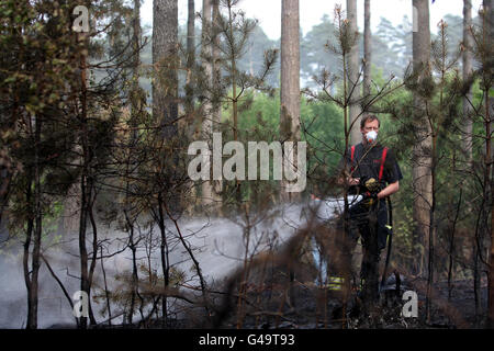 I vigili del fuoco lavorano su un fuoco nella foresta di Swinley vicino a Crowthorne, Berkshire che stanno bruciando per parecchi giorni. Foto Stock