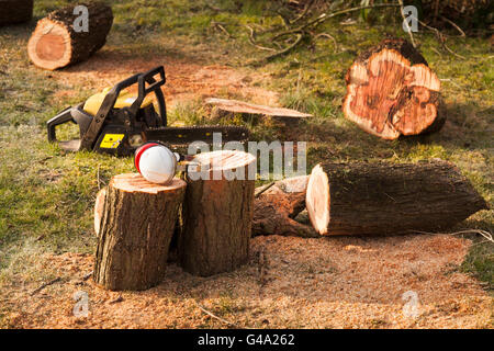 Protezioni per orecchie e chainsaw accanto a segati tronco di albero, Waterlooville, England, Regno Unito, Europa Foto Stock