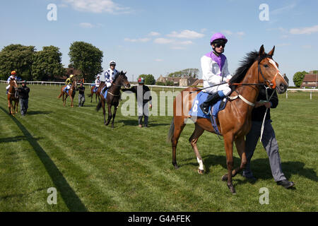 Horse Racing - Bagno Racecourse Foto Stock