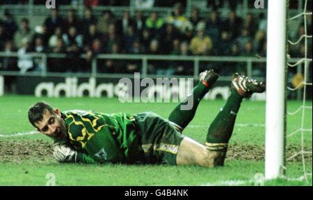 Il calcio Newcastle v Leeds/Martyn Foto Stock