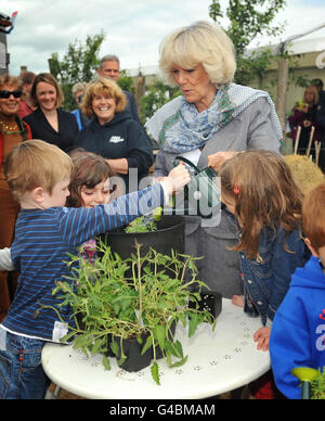 La Duchessa di Cornovaglia infondere una pianta nel Giardino Wiggly al Festival Hay a Hay-on-Wye. Foto Stock