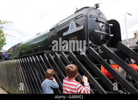 Tornado treno a vapore Foto Stock