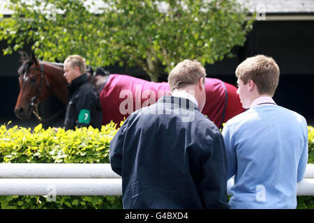 Corse ippiche - Abu Dhabi 1000 Guineas Day - Ippodromo di Curragh. I Racegoers controllano i cavalli nell'anello della parata Foto Stock