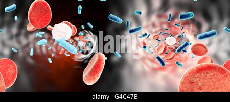Illustrazione di astiformi di batteri in un vaso sanguigno con globuli rossi e leucociti. Panorama a 360 gradi all'interno del vaso sanguigno. Foto Stock
