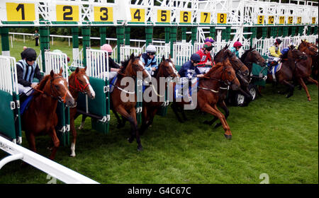 I runner si staccano dalle bancarelle di partenza nel Castlepoint Shopping Park A3060 Bournemouth Maiden Stakes presso l'ippodromo di Salisbury, Salisbury. Foto Stock