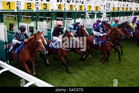 Horse Racing - Ippodromo di Salisbury Foto Stock