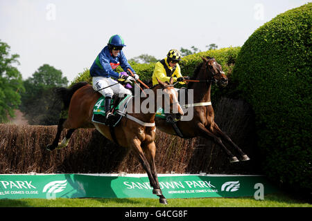 Horse Racing - bet365 Gold Cup Festival di Pasqua - Sandown Park Foto Stock