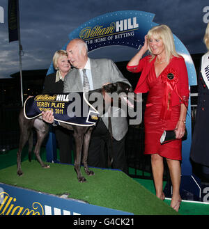 Romeo Spartan, vincitore della Derby Plate Final Williamhill.com, al Wimbledon Stadium a sud di Londra. Foto Stock