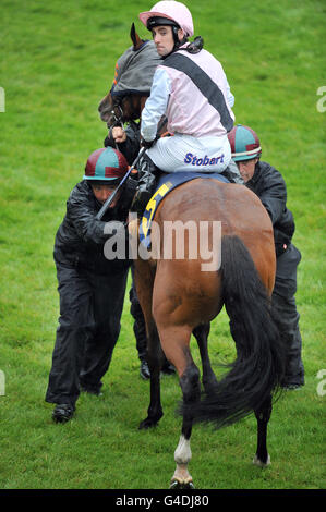 Gli ufficiali di gara si preparano a caricare Ela Gorrie nelle bancarelle per l'inizio dell'handicap di E.B.F Sessanta Icon Fillies, mentre il fantino Michael o'Connell guarda sopra Foto Stock