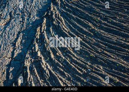 Lava pahoehoe campo, Carrizozo Malpais flusso di lava a valle degli incendi Recreation Area, bacino Tularosa vicino Carrizozo, Nuovo Messico Foto Stock