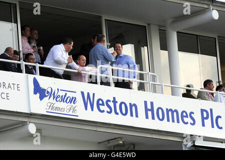 Cricket - Friends Life Twenty20 - South Group - Surrey Lions / Kent Spitfire - The Kia Oval. Una vista generale dei ventilatori nelle scatole del corperate al Oval di Kia Foto Stock