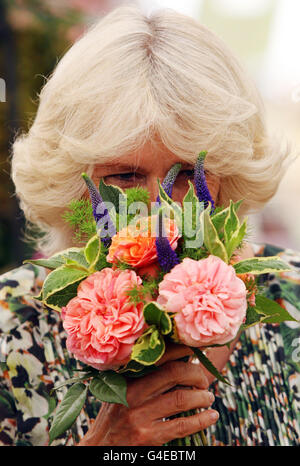 La Duchessa di Cornovaglia odora un bouquet di fiori durante una visita all'Hampton Court Palace Flower Show. Foto Stock