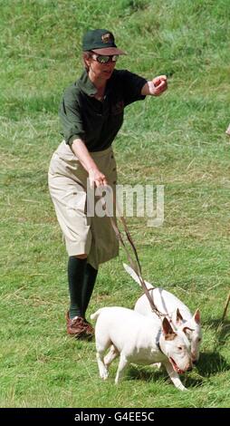 La principessa Royal cane a camminare Foto Stock