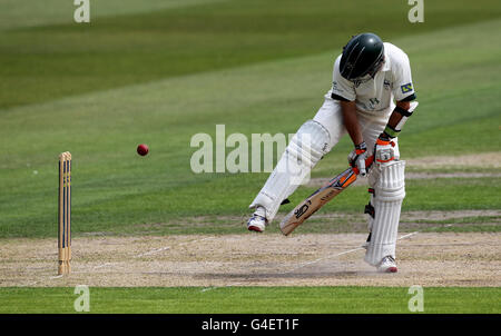 Cricket - Liverpool Victoria County Championship - Division One - Giorno 1 - Worcestershire v Somerset - New Road Foto Stock