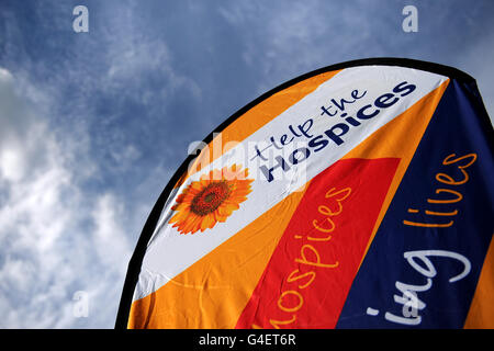 Horse Racing - Uttoxeter notti - Uttoxeter Racecourse Foto Stock