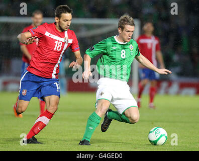 Steven Davis (a destra) dell'Irlanda del Nord in azione con Milos Ninkovic in Serbia durante la partita di qualificazione del Campionato europeo al Windsor Park di Belfast. Foto Stock