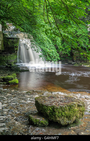 Di West Burton cascata, noto anche come Cauldron cade, in Yorkshire Dales National Park a nord dell'Inghilterra, Regno Unito Foto Stock