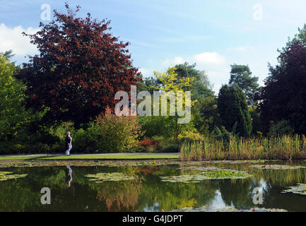 I primi colori autunnali sono esposti nei Burnby Hall Gardens, Pocklington, East Yorkshire. Foto Stock