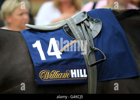 Corse ippiche - Ippodromo di Ripon. William Hill ha sponsorizzato la sella di un panno su un cavallo Foto Stock