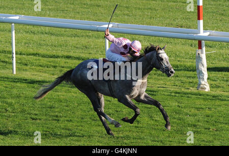 Horse Racing - Racing Post Trophy riunione piatta - Giorno 2 - Doncaster Racecourse Foto Stock