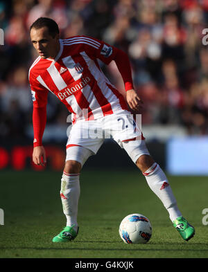 Calcio - Barclays Premier League - Stoke City v Fulham - Britannia Stadium. Matthew Etherington, Stoke City Foto Stock