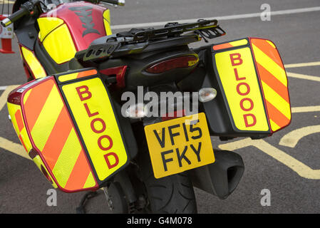 Trasporto urgente di forniture di sangue in motocicletta. Gerle su un motociclo e riflettente segni di sangue Foto Stock