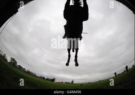 Horse Racing - Domenica Racing - Ippodromo di Huntingdon Foto Stock