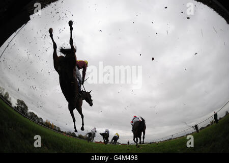 Horse Racing - Domenica Racing - Ippodromo di Huntingdon Foto Stock