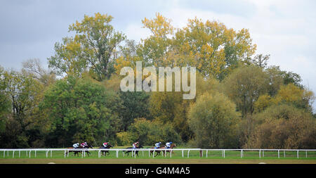 I corridori nel Join Today a rewards4racing.com Novices'Chase Foto Stock