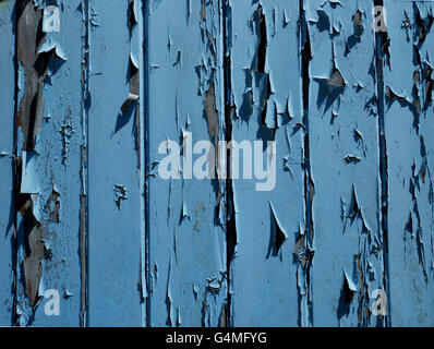 Sfald vernice blu su una porta di legno, Polperro, Cornwall. Foto Stock