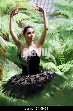 La ballerina spagnola Tamara Rojo si prepara per il tour del Balletto Nazionale Inglese del Lago Swan, che inizia la sua tratta britannica presso lo Scottish Exhibition and Conference Center di Glasgow, visto qui presso la serra Kibble nei giardini botanici di Glasgow. * la sig.ra Rojo è stata scoperta dal balletto nazionale scozzese nel 1996 e ha giocato la parte di Juliet nella produzione di Romeo & Juliet di Derek Deane la scorsa estate. Foto Stock