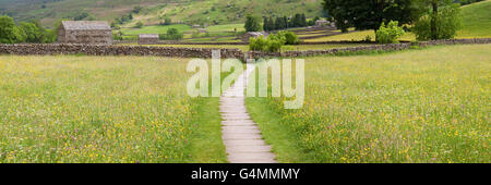 Sentiero lastricato attraverso un prato di fiori selvaggi vicino Muker in Swaledale Foto Stock