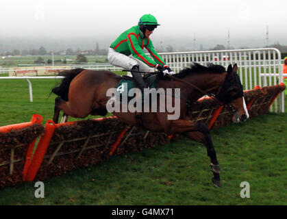 Decoy ridden by Conor o'Farrell salta l'ultimo sulla loro strada per la vittoria nel cheltenhamcollection.co.uk Conditional jockeys 'handicap hurdle in campagna giorno dell'Open 2011 a Cheltenham Racecourse. Foto Stock