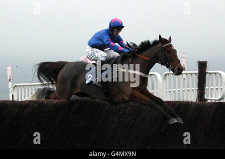 Cue Card cavalcata da Joe Tizzard nella piastra d'acciaio e sezioni Novices Chase in campagna giorno dell'Open 2011 a Cheltenham Racecourse. Foto Stock