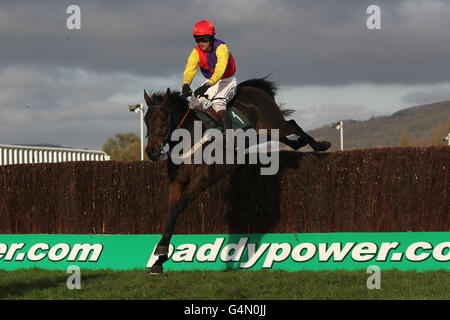 Horse Racing - The Open 2011 - Paddy Power Gold Cup Day - circuito di Cheltenham. Jockey Joe Tizzard su Hey Big Spender durante la fase di handicap di Rewards4Racing Foto Stock