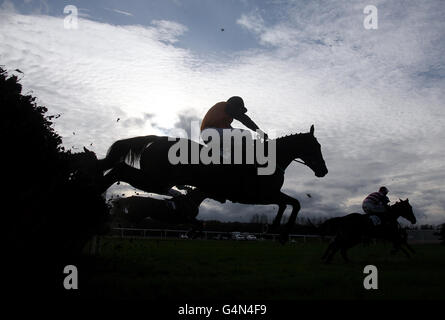 Identimin guidato da Wayne Kavanagh nella corsa di ostacoli EBF Mares 'National Hunt' Novices' durante il giorno di Newbury del Sportingbet Winter Festival a Newbury Racecourse, Berkshire. Foto Stock