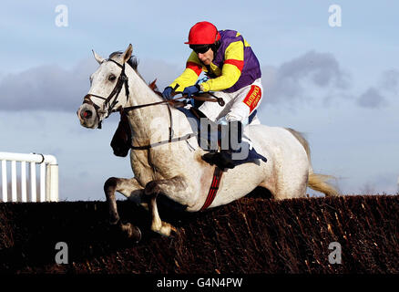 I Grands Crus guidati da Tom Scudamore saltano l'ultimo sulla loro strada per la vittoria nel GPG Novices' Chase durante il Newbury Day del Sportingbet Winter Festival all'Ippodromo di Newbury, Berkshire. Foto Stock