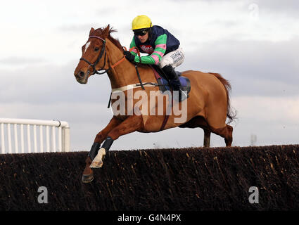 LiDAR guidato da Charlie Huxley salta l'ultimo sulla loro strada per la vittoria nel Burges Salmon Novices Limited handicap Chase durante il Newbury Day del Sportingbet Winter Festival all'ippodromo di Newbury, Berkshire. Foto Stock