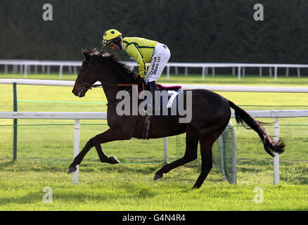 Kingsmere guidato da Andrew Tinkler fanno il loro modo di pubblicare per la CSP Novices' handicap corsa di ostacoli durante il Newbury Day del Sportingbet Winter Festival a Newbury Racecourse, Berkshire. Foto Stock