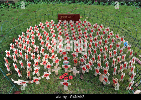 Papaveri e croci nel campo della memoria alla Chiesa di tutti i Santi di Northampton. Foto Stock