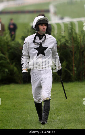 Jockey Tom Doyle dopo essere caduto dal suo cavallo Mahrajaan nel paddypower.com su Mobile handicap Chase al corso di corsa di Cheltenham. Foto Stock