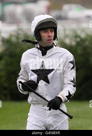 Jockey Tom Doyle dopo essere caduto dal suo cavallo Mahrajaan nel paddypower.com su Mobile handicap Chase al corso di corsa di Cheltenham. Foto Stock