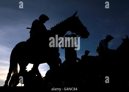 Horse Racing - Open 2011 - Aperto domenica - Cheltenham Racecourse Foto Stock