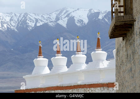 Gli stupa vicino al monastero di Shey, nei pressi di Leh, Ladakh, Jammu e Kashmir India Foto Stock