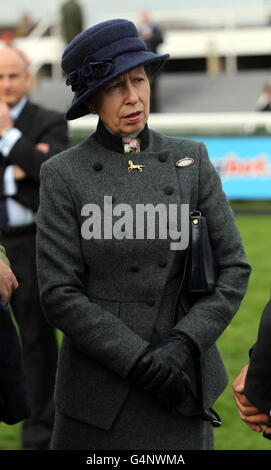 Princess Anne durante il giorno della Gold Cup di Hennessy del Sportingbet Winter Festival all'ippodromo di Newbury, Newbury. Foto Stock