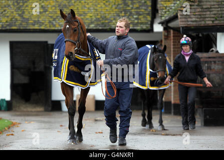 Corse ippiche - Nicky Henderson stable Visit - sette filari. Binoculare (a sinistra) e Long Run (a destra) sono in testa intorno al Yard di Nicky Henderson durante una chiamata fotografica a Seven Barrows, Lambourne. Foto Stock