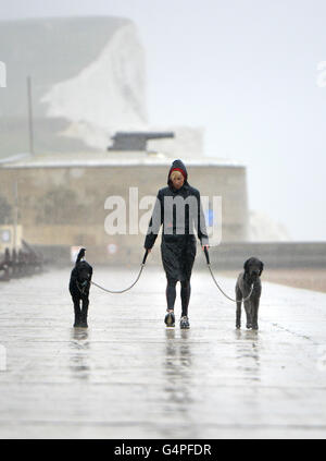 Seaford, East Sussex, Regno Unito. Il 20 giugno 2016. Dog walker sfidando pioggia e vento sulla spiaggia di Seaford durante un umido molto Solstizio d'estate. Credito: Peter Cripps/Alamy Live News Foto Stock
