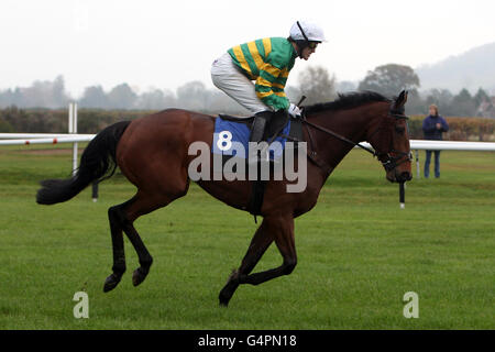 Corse di cavalli - Ippodromo di Ludlow. Quarantacinque ridati da Tony McCoy va al posto per la Weatherbys 2012 Point-to-Point Annual handicap Chase Foto Stock