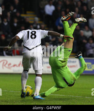 Calcio - Barclays Premier League - Swansea City v Fulham - Liberty Stadium Foto Stock