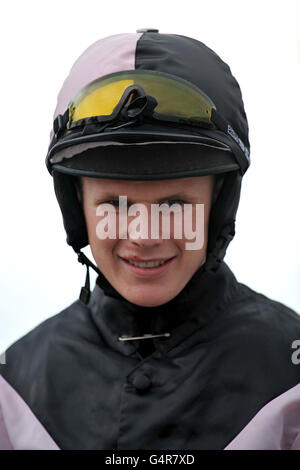 Horse Racing - Uttoxeter Races - Uttoxeter Racecourse Foto Stock